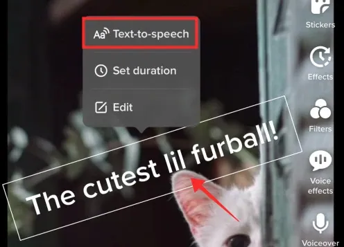  How to Add Robot Voiceover on TikTok - Text to Speech