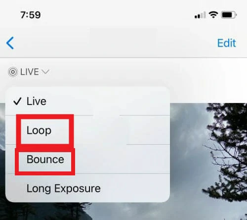 Use Wanted Effect to Loop the Live Photos