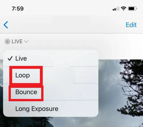 on mobile gets Loop option for playing videos
