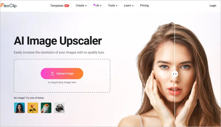 Online AI Image Upscaler - FlexClip