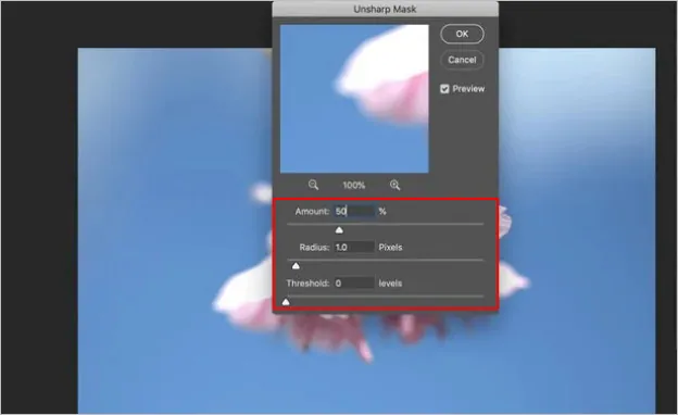 How to Make an Image Clearer in Photoshop - Adjust Settings