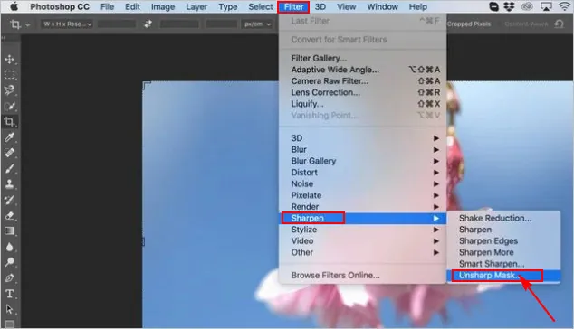 How to Make an Image Clearer in Photoshop - Unsharp Mask