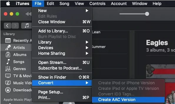 Create Audio Format as AAC Version