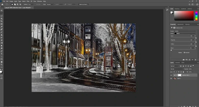 How to Make Image Black and White in Photoshop Using Selective Color Adjustment Layer