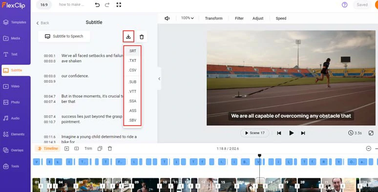 Edit and download subtitles in SRT, VTT, TXT, and other formats for repurposings