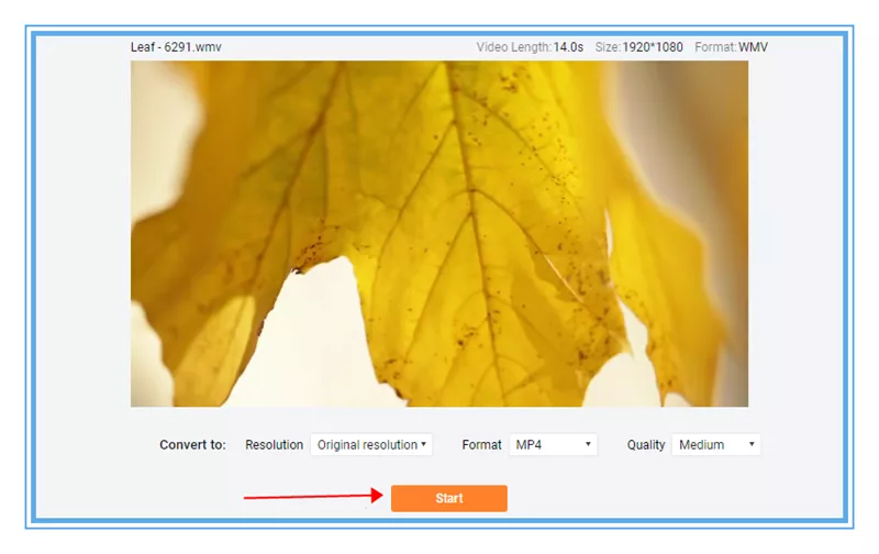 How to Convert Video Format Online - Step 2