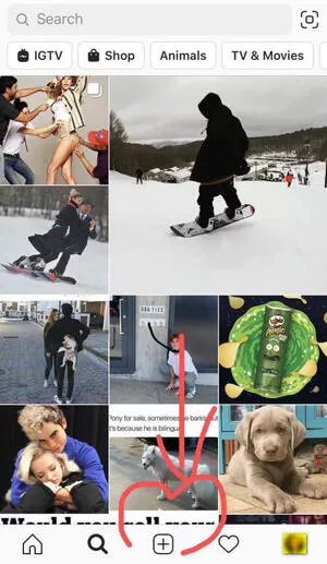 Upload photos or videos for the post on Instagram