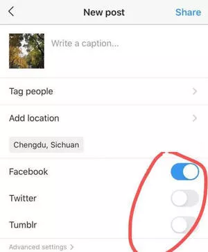 Share your post on Instagram and other social media