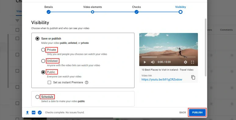 Select how you want to publish a YouTube video