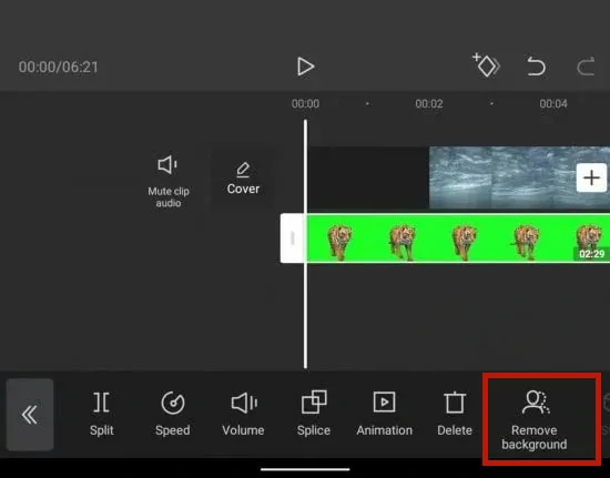 remove green screen capcut
