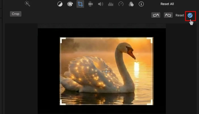 クロップが適用され