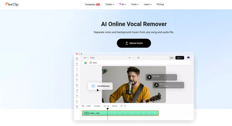 Excellent Instrumental Remover - FlexClip