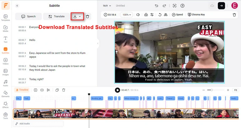 Download Translated Subtitles