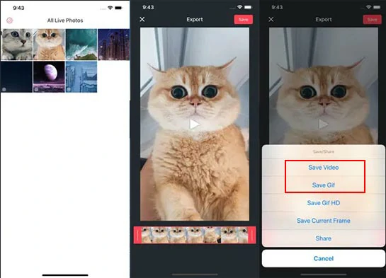 Convert the Live Photo to a GIF or video by Live Converter on iPhone