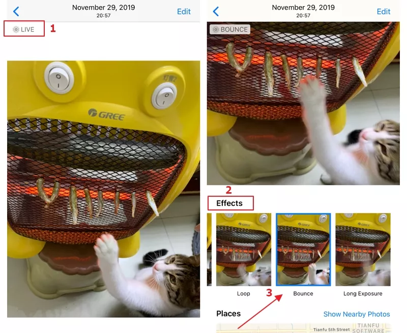 How to Turn Live Photo Into GIF on iPhone