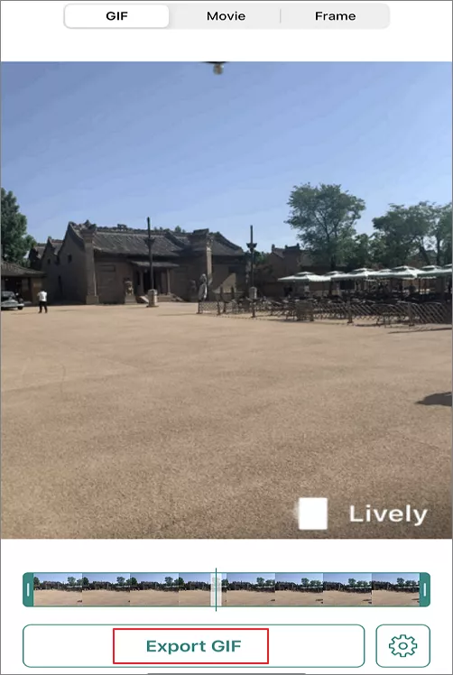 How to Turn Live Photo Into GIF with Lively