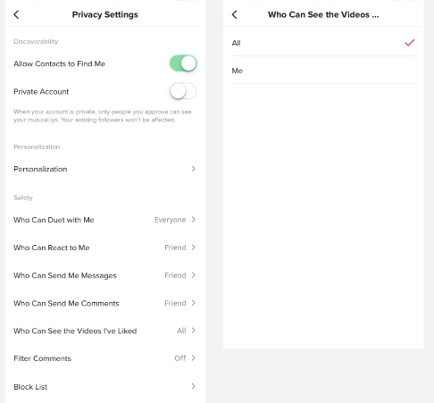 How to Use TikTok - Privacy Settings