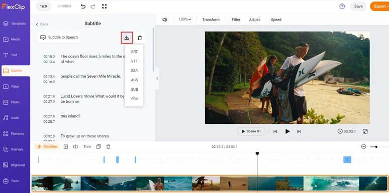 Download auto-generated subtitles in SRT and other subtitles formats