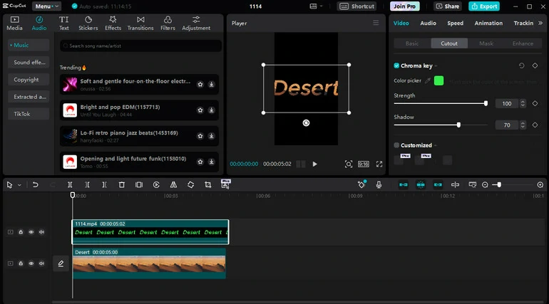 CapCut Mask Video Editor