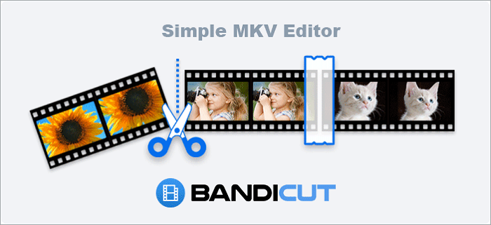 Top 5 MKV Editor Online - BandiCut