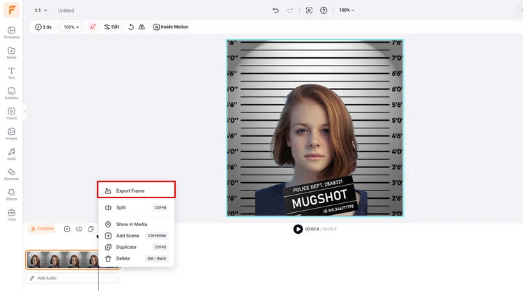 Download Fake Mugshot - FlexClip