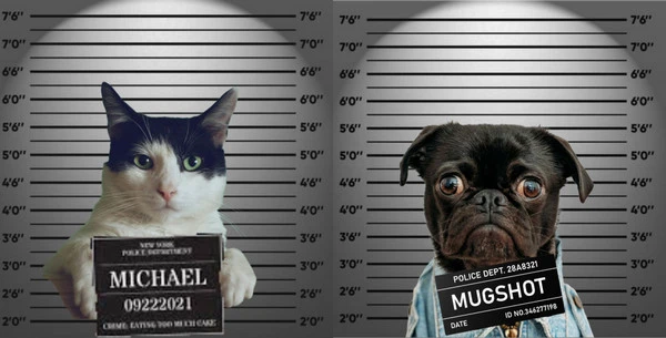 FlexClip's Fake Mugshot Example 3