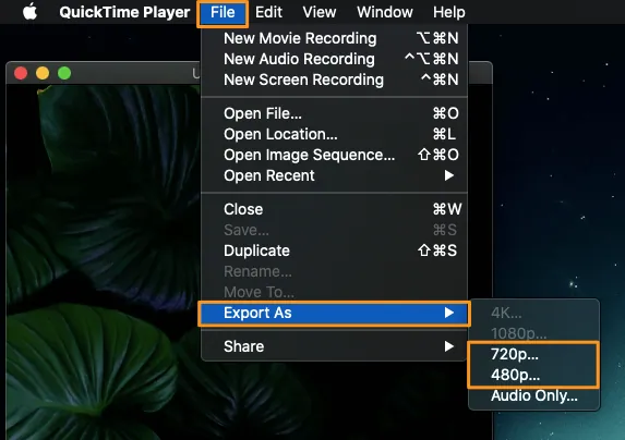 Remove Sound from Video with QuickTime on Mac - Export