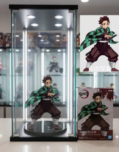 コレクターズショーケース