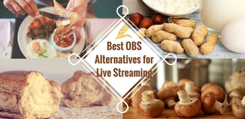 Best OBS Alternatives in 2021