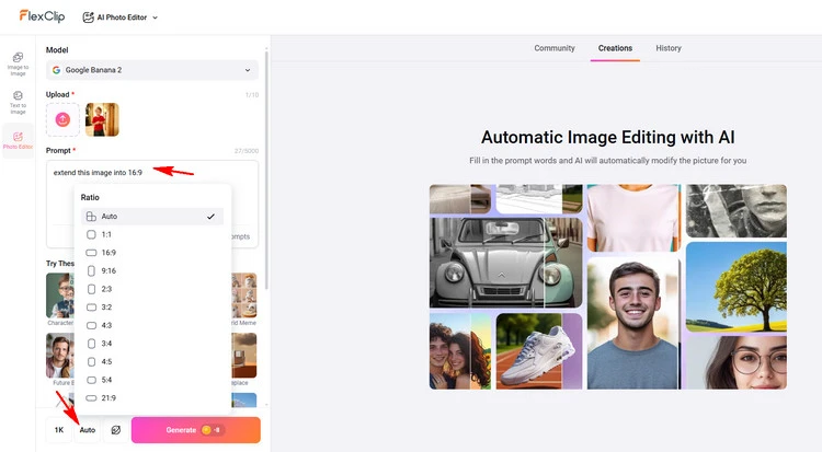 Type Description - FlexClip