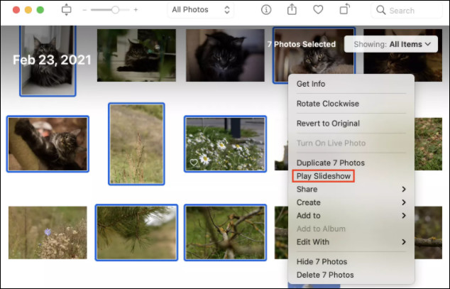 Make and Play an Instant Photo Slideshow on Mac