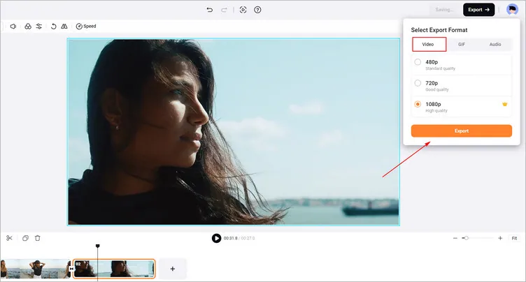 Download Your Video with Pixel Transition - FlexClip