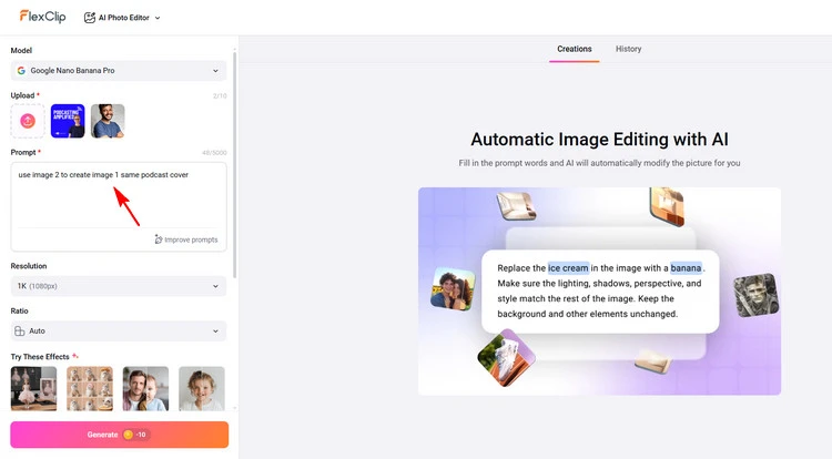 Type Description - FlexClip