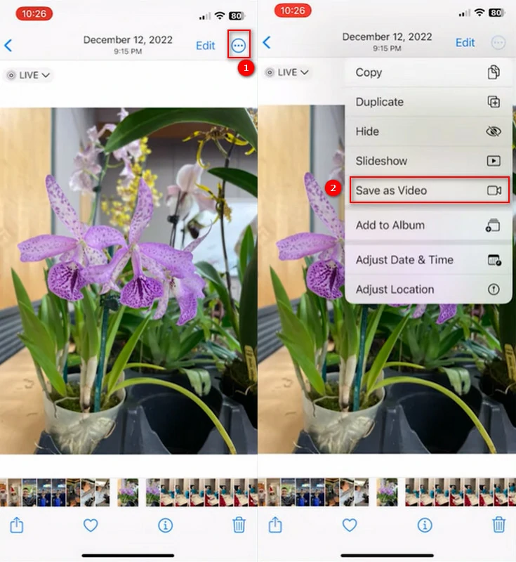 Convert Live Photo to Video