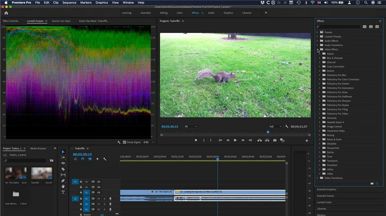 Best Quik Video Editors Alternatives for PC - Adobe Premiere Pro