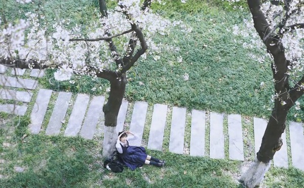 桜ポートレート写真写真ポーズ参考