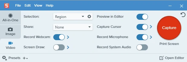 Snagit Screen Record Tool