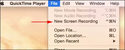 Record Screen and Webcam Simultaneously on Mac - Step 4