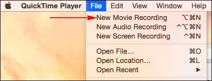 Record Screen and Webcam Simultaneously on Mac - Step 1