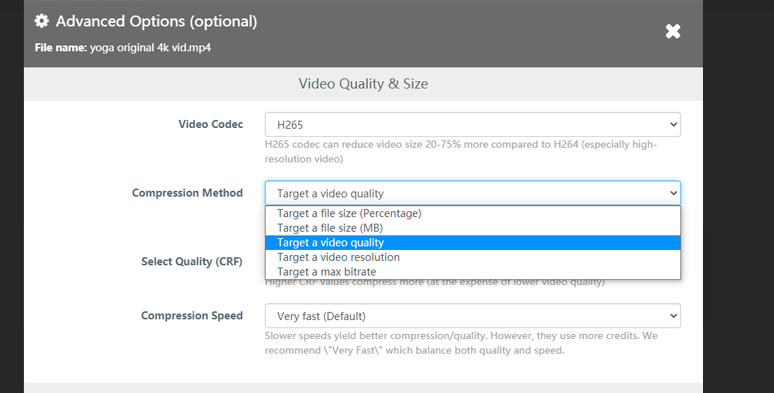 komprimeren einer großen Videodatei mitfreecovert videocompressor