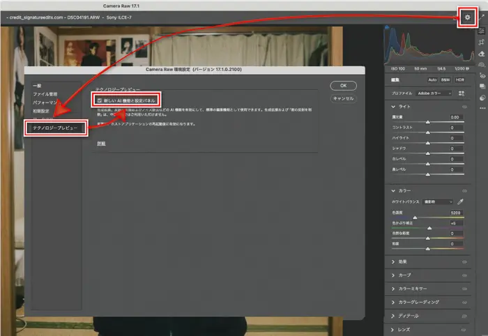AI機能の反射の削除を有効にする