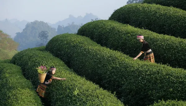 Generated Photo Example - FlexClip