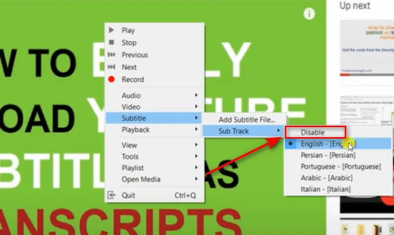 Remove Softcoded Video Subtitle
