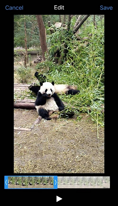 删除不需要的部分视频上的电话