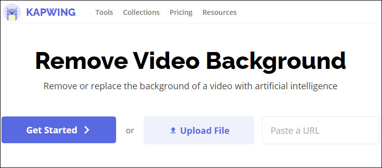 Remove Background from a Video with Kapwing - Step 1