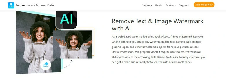 Remove Watermark from Photo Online Using Aiseesoft's AI-supported Watermark Remover