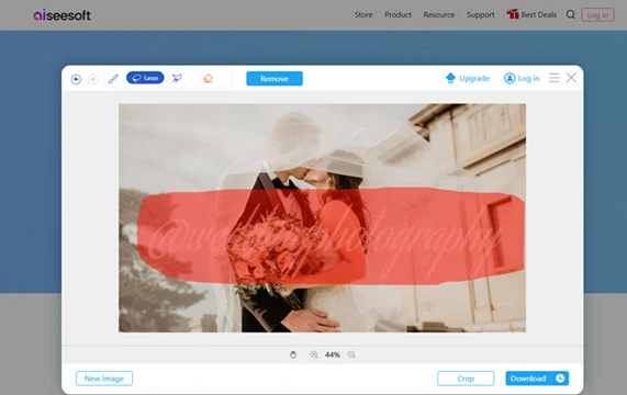Select the Watermark Area in Aiseesoft Manually