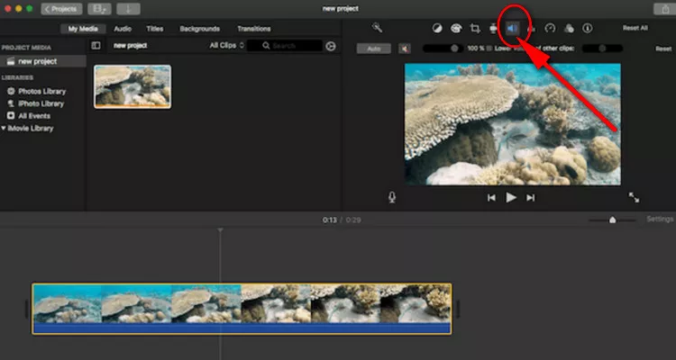 Replace Audio in Video with iMovie on Mac - Mute