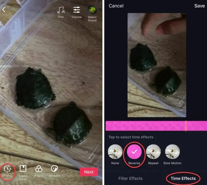 How to Reverse a Video on TikTok