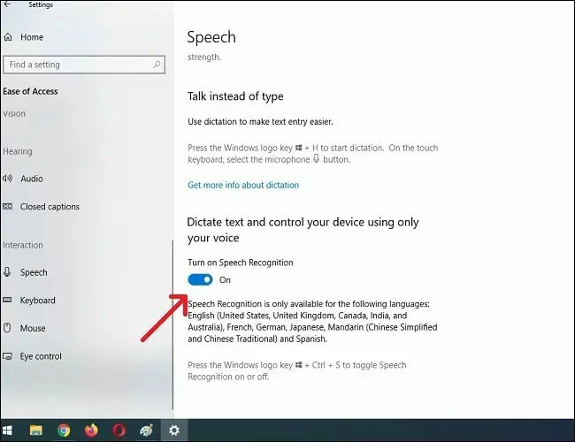 Turn on the Speech Recognition Option